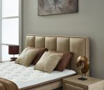 Eden Baza Başlık - Görsel 9