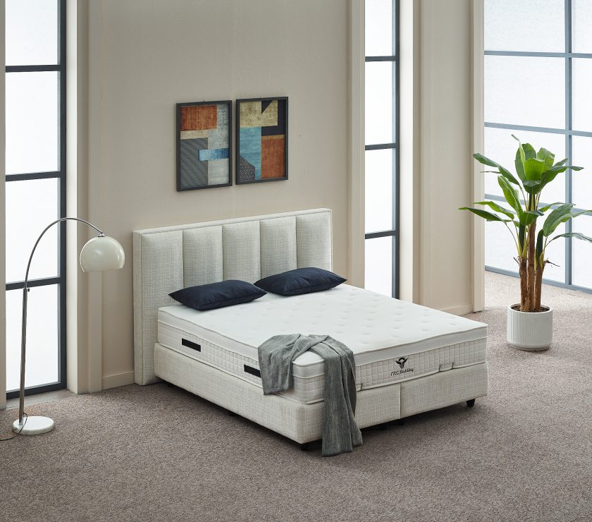 Eden Baza Başlık - Görsel 15