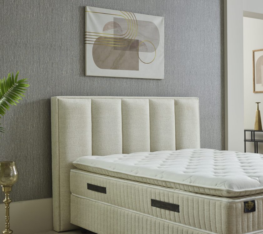 Eden Baza Başlık - Görsel 4