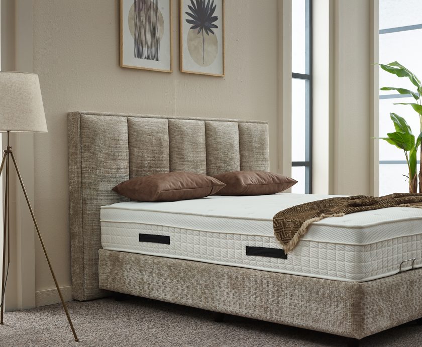 Eden Baza Başlık - Görsel 17