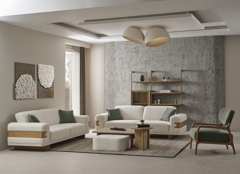 Anka Koltuk Takımı - Görsel 2