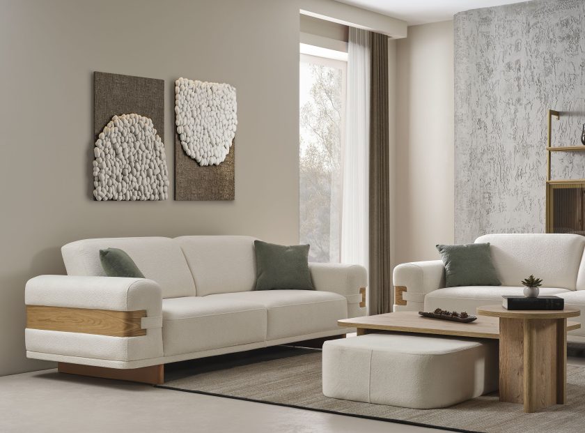 Anka Koltuk Takımı - Görsel 3