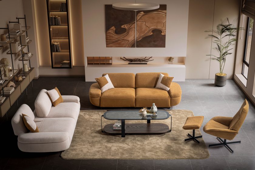 Salva Koltuk Takımı - Görsel 3